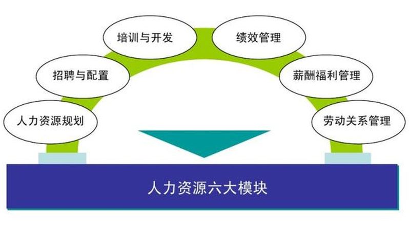 揭秘国内正规灵活用工平台：如何选择与合规操作